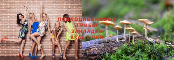 шишки Горнозаводск