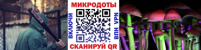 Псилоцибиновые грибы мухоморы  купить наркотик  Дубовка 
